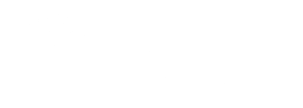 Logo white